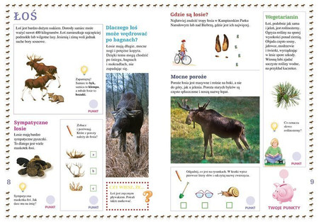 Ssaki lasów i łąk. Młody Obserwator Przyrody