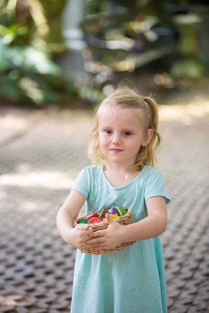 Warzywa i owoce na tacy, drewniany zestaw Plan Toys®