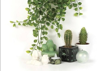 Szablon Sitodruk Motywy Tropikalne