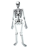 Learning Resources | Puzzle z pianki – szkielet LERLER3332