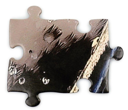 Puzzle 100-elementów PINGWIN Madd Capp