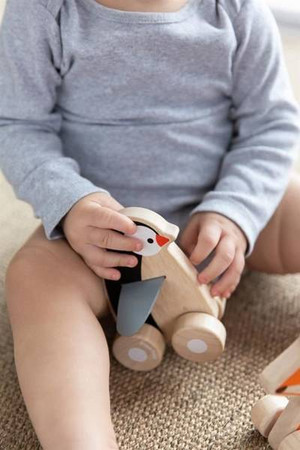 Pojazd do zabawy, Pingwin na kółkach Plan Toys