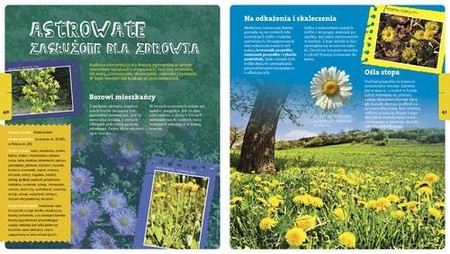 Wojciech Gil opowiada o leśnych rodzinach