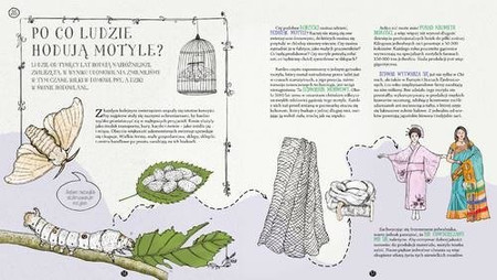 Gąsienice w czekoladzie. I inne tajemnice motyli