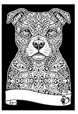 Kolorowanka Welwetowa A4 Pitbul