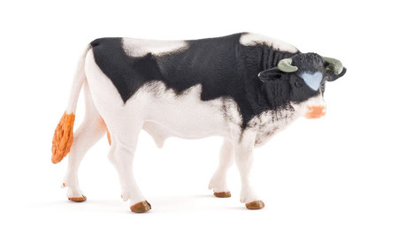 Traktor z przyczepą z bykiem i zagrodą