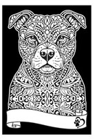 Kolorowanka Welwetowa A4 Pitbul