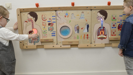 MASTERKIDZ Tablica Edukacyjna Układ Trawienny