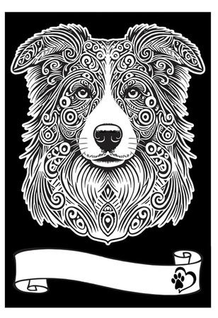 Kolorowanka Welwetowa A4 Border Collie