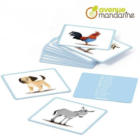 Karty z obrazkami Zwierzęta domowe Flashcards Pets Farm Animals