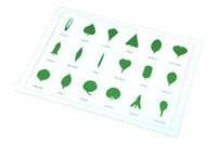 Moyo Montessori | Kształty liścia BIO_B001-2