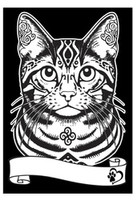 Kolorowanka Welwetowa A4 Kot Europejski