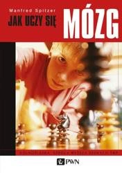 Jak uczy się mózg