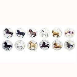 Piłeczka kauczukowa z konikiem