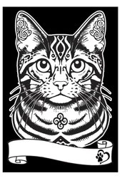 Kolorowanka Welwetowa A4 Kot Europejski