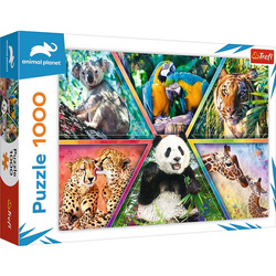 Puzzle 1000 elementów Królestwo zwierząt Animal Planet