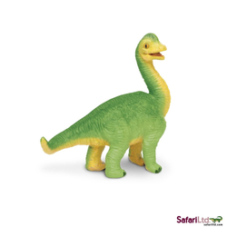Safari Ltd. | Młode brachiozaura SFS301229