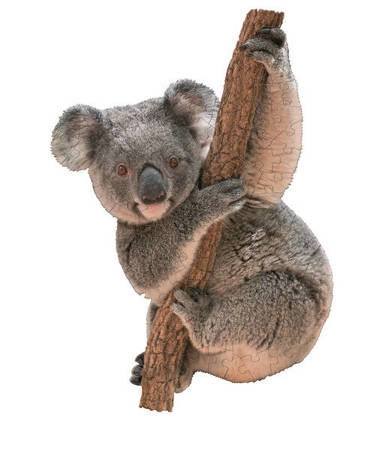 MADD CAPP,  Puzzle konturowe I AM LIL' - Koala 100 elem.
